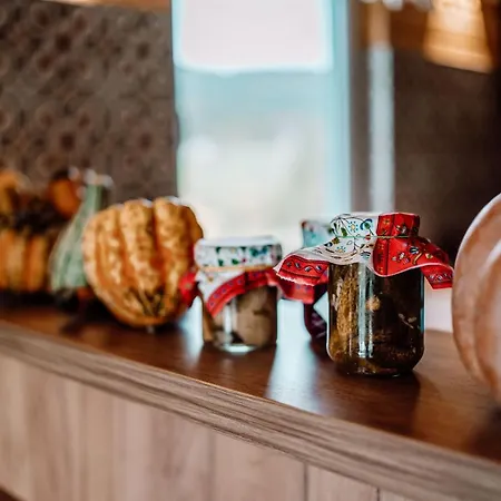 Niebieski W Beskidzie Małym Dom wakacyjny *