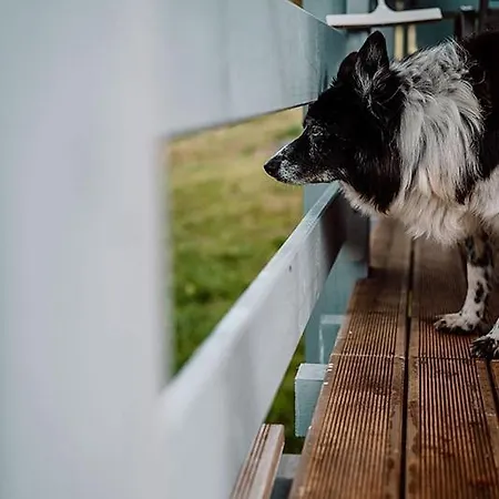 Niebieski W Beskidzie Małym