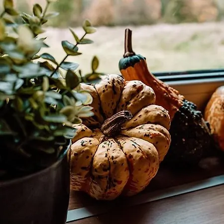 Niebieski W Beskidzie Malym Prázdninový dům