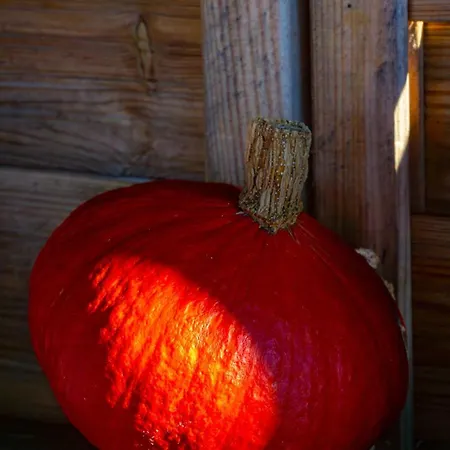 Niebieski W Beskidzie Małym