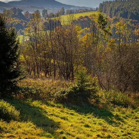 Niebieski W Beskidzie Malym *