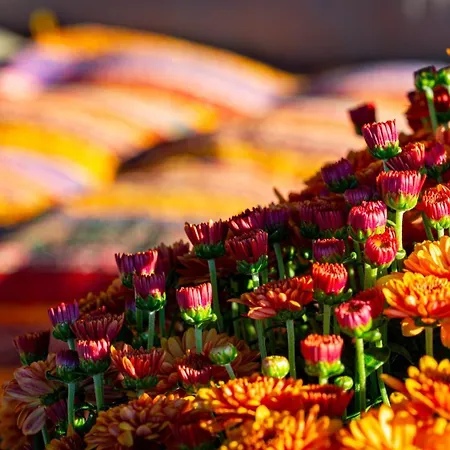 Niebieski W Beskidzie Malym Prázdninový dům