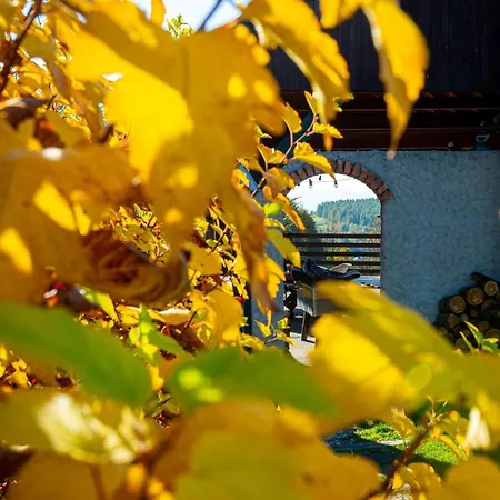 Vakantiehuis Niebieski W Beskidzie Malym Slemien