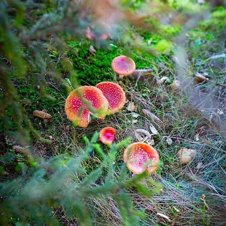 Niebieski W Beskidzie Malym Vakantiehuis Slemien