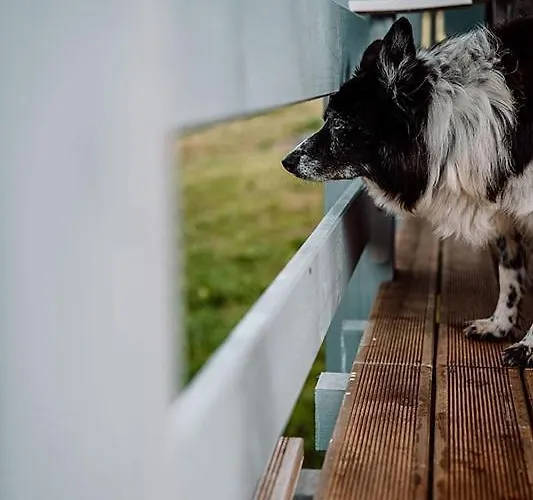 Niebieski W Beskidzie Malym
