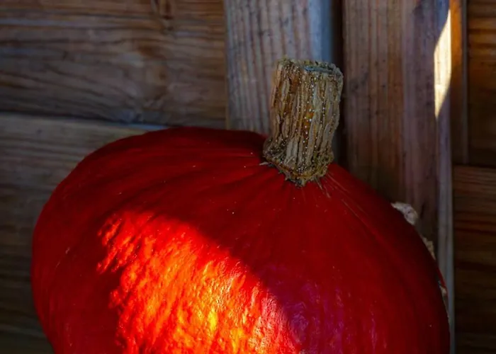 Niebieski W Beskidzie Malym