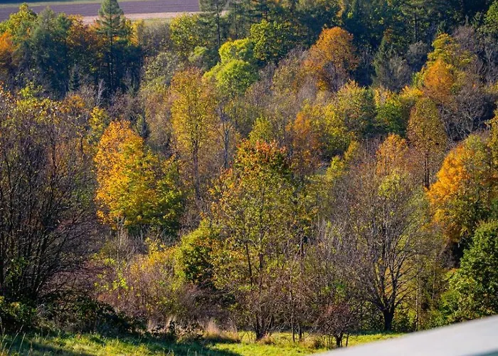 Prázdninový dům Niebieski W Beskidzie Malym *