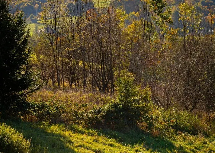 Niebieski W Beskidzie Malym *