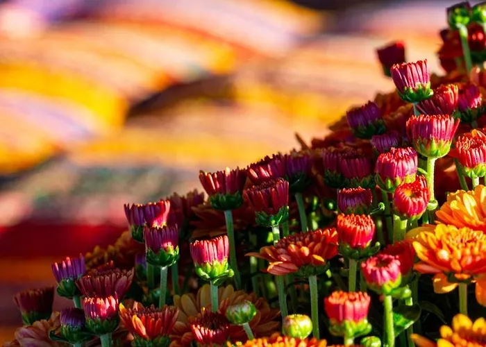 Niebieski W Beskidzie Malym Prázdninový dům