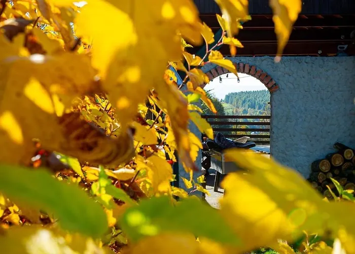 Hébergement de vacances Niebieski W Beskidzie Malym Slemien