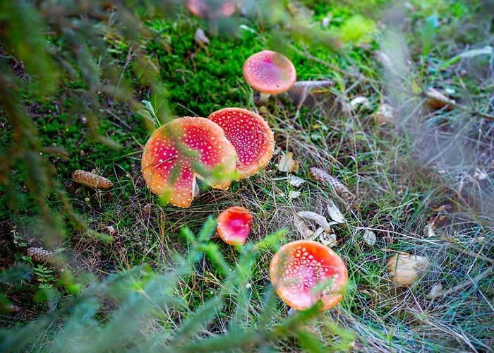 Niebieski W Beskidzie Malym Holiday home Slemien