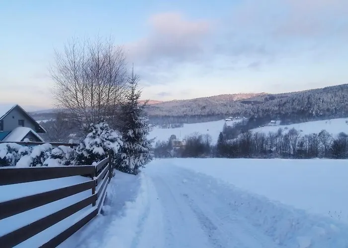 Niebieski W Beskidzie Malym Holiday home